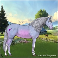 Horse Color:Watercolor Chestnut 