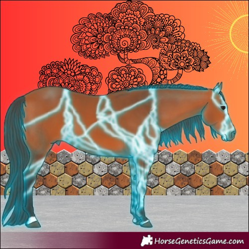 Horse Color:Thunderstruck Bay 