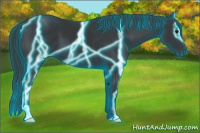 Horse Color:Thunderstruck Black 