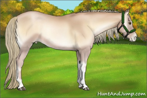 Horse Color:Red Onyx Pearl Mushroom 