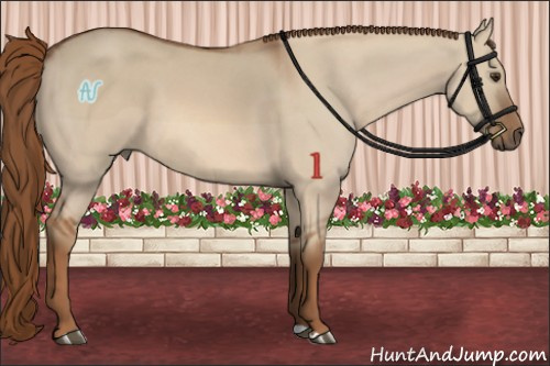 Horse Color:Red Dun 