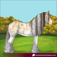 Horse Color:Buckskin Sabino Rabicano  and Buckskin Sabino Rabicano 