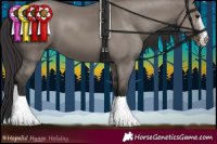 Horse Color:Smoky Grullo Sabino 