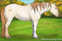 Horse Color:White Spotted Buckskin Pearl Dun Sabino 