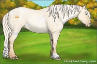 Horse Color:White Spotted Silver Smoky Grullo Roan Pearl 