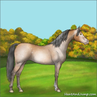 Horse Color:Gray Amber Champagne 