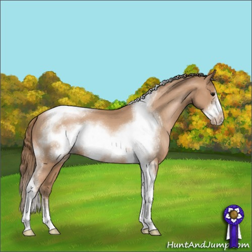 Horse Color:Black Pearl Sabino Tobiano Frame Varnish 