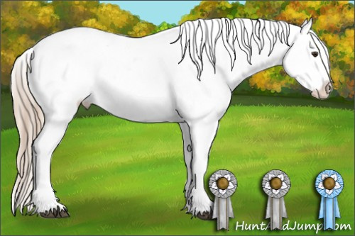 Horse Color:Liver Chestnut Sabino Splash Blanket and Chocolate Palomino Sabino Splash Blanket