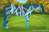Horse Color:Thunderstruck Blue Roan