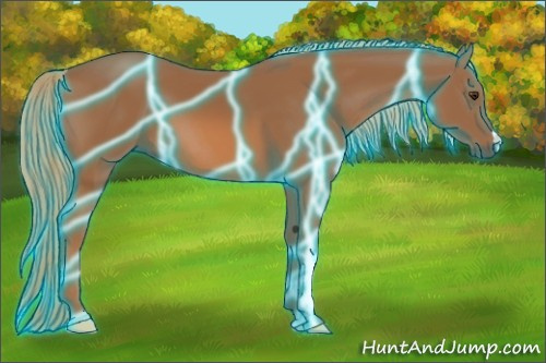 Horse Color:Thunderstruck Chestnut 