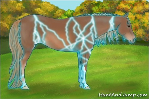 Horse Color:Thunderstruck Chestnut 