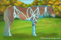 Horse Color:Thunderstruck Chestnut
