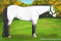 Horse Color:Platinum Buckskin Roan 