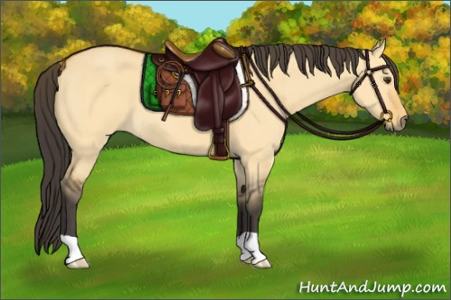 Horse Color:Buckskin Dun 