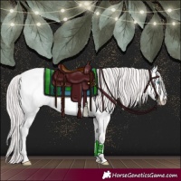 Horse Color:Platinum Perlino Roan Dun 