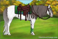 Horse Color:Platinum Bay Roan Dun Splash Appaloosa 
