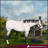 Horse Color:Platinum Bay Roan Dun
