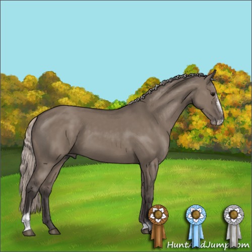 Horse Color:Silver Grullo Sabino 