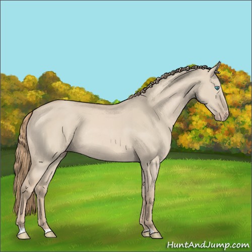 Horse Color:Smoky Creme Dun Rabicano
