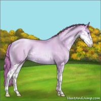 Horse Color:Watercolor Smoky Grullo Pearl Sabino 
