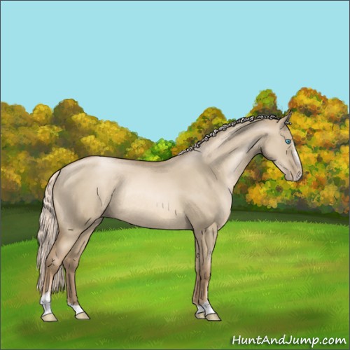 Horse Color:Chocolate Palomino Pearl Dun Sabino Rabicano 