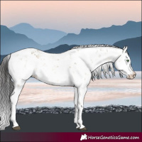Horse Color:Buckskin Dun Sabino
