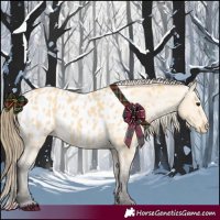 Horse Color:Buckskin Roan Near Leopard 