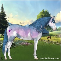 Horse Color:Watercolor Blue Onyx Splash