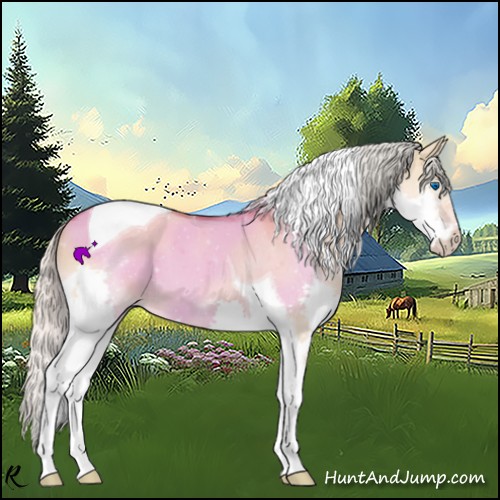 Horse Color:ERROR: UNKNOWN ANOMALY