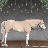 Horse Color:Silver Classic Champagne Dun Splash Frame 