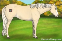 Horse Color:Palomino Dun Splash