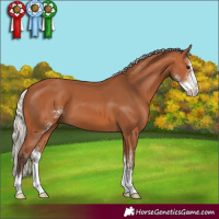 Horse Color:Silver Bay Sabino 