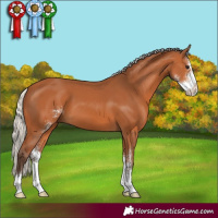 Horse Color:Silver Bay Sabino 