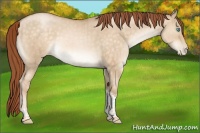 Horse Color:Brown Pearl Dun Tobiano Rabicano Brindle 