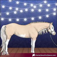 Horse Color:Silver Classic Champagne Dun Splash Frame