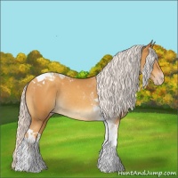 Horse Color:Chocolate Silver Sable Cream Champagne Tobiano Rabicano