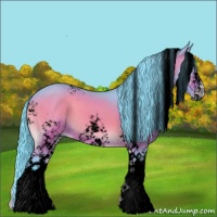Horse Color:Void Watercolor White Spotted Bay Onyx