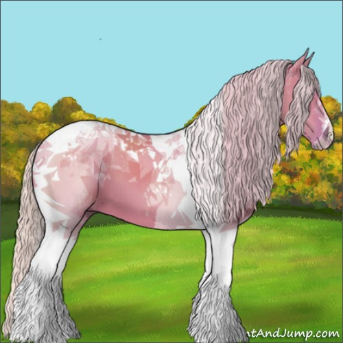 Horse Color:Watercolor Silver Grullo Tobiano 