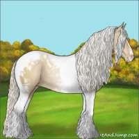 Horse Color:Silver Grullo Pearl Tobiano 