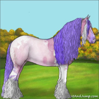 Horse Color:Watercolor Grullo Tobiano 