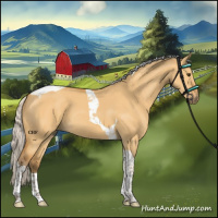 Horse Color:Silver Buckskin Dun Tobiano 