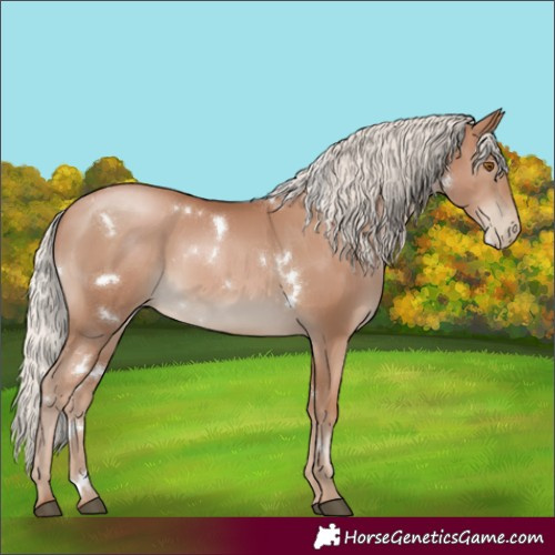 Horse Color:White Spotted Silver Black Pearl 