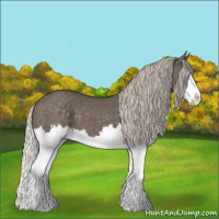 Horse Color:Silver Black Splash