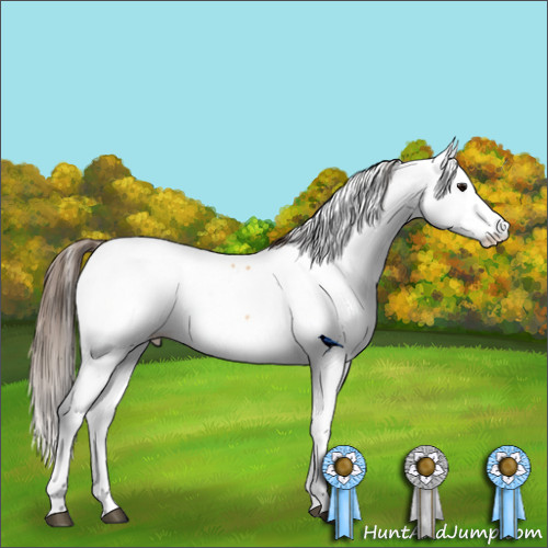 Horse Color:Bay Dun Fewspot Rabicano