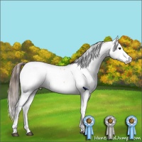 Horse Color:Bay Dun Fewspot Rabicano 