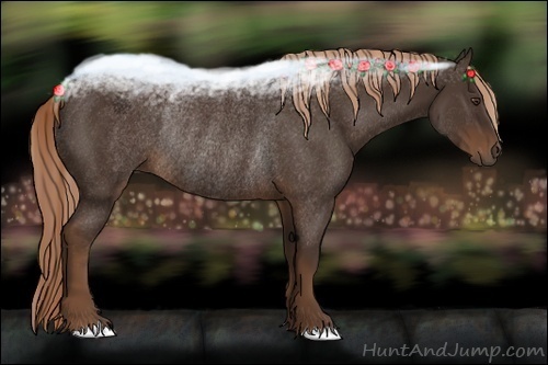 Horse Color:Liver Chestnut Rabicano