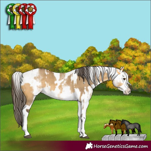 Horse Color:White Spotted Buckskin Dun Rabicano and White Spotted Buckskin Dun Rabicano