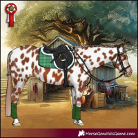 Horse Color:Chestnut Near Leopard 