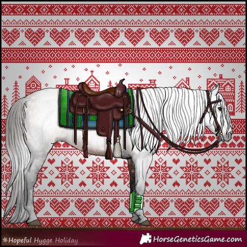 Horse Color:Gray Bay 