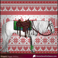Horse Color:Gray Bay 